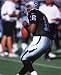 Rodney Peete Oakland Raiders 8 X 10 photo A