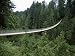 Capilano Suspension Bridge, Vancouver, British Columbia, Canada Photographic Poster Print by Alison Wright, 40x30