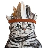 PET SHOW Indian Style Feather Eagle Crown Pet Dog Cat Headwrap Grooming Products Headband Pack of 1