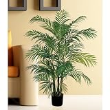 Areca Silk Palm Tree 4'