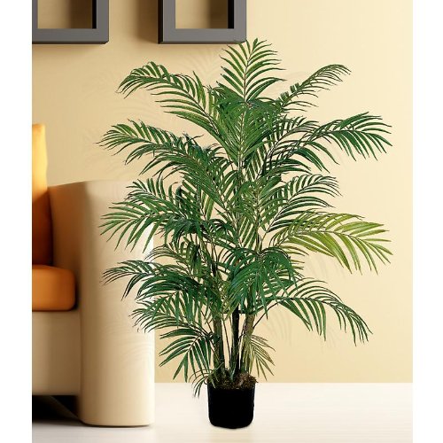 Areca Silk Palm Tree 4′
