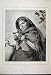 1892 Youthful Botanist Girl Berries Beautiful Old Print