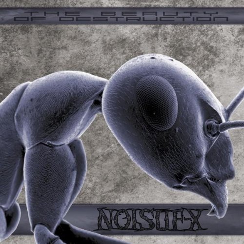 Noisuf-X - THE BEAUTY OF DESTRUCTION - Zortam Music