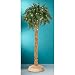 5 Foot Lighted Palm Tree