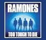 Chasing The Night (Remastered LP Version )