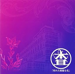枯れた綺麗な花