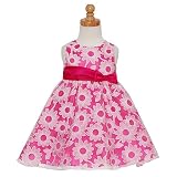 Rare Editions Fuchsia Flower Sheer Easter Spring Dress Girl 12M-24M