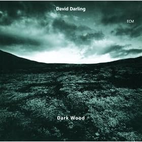 Dark Wood Dark Wood