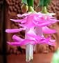 Hirt's Pink Christmas Cactus Plant - Zygocactus - 4" Pot