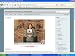 Renegade Marketing Strategies Renegade Marketing Strategies