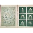 ILLUSTRATED LONDON ALMANACK COPERNICUS LUNAR CRATER