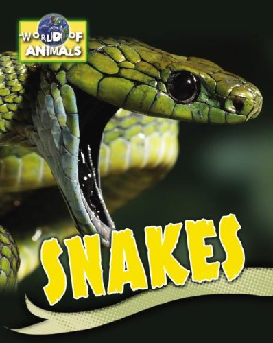 Snakes (World of Animals)