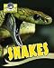Snakes (World of Animals)