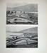 1903 Mammals Pilot Whales Weisdale Voe Shetland Nature