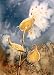 Milk Weeds in Gray and Brown, giclee print of watercolor by Susan Avis Murphy