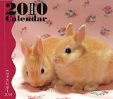 ウサギカレンダー 2010
