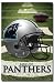 Carolina Panthers (Helmet on Field) Sports Poster Print - 24x36