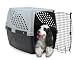 Pet Supplies : Firstrax 32-Inch Pet Suites Multi-Use Pet Kennel