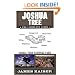 Joshua Tree: The Complete Guide: Joshua Tree National Park