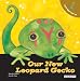Let's Take Care of Our New Leopard Gecko by Alejandro Algarra