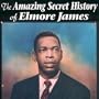 The Amazing Secret History of Elmore James