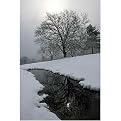Frosty Stream Gallery Wrapped Canvas - 24x36"
