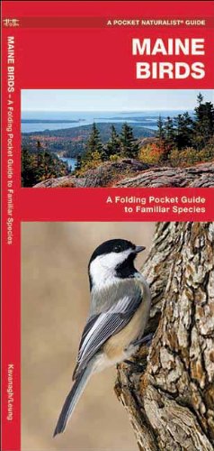 Maine Birds: A Folding Pocket Guide to Familiar Species (Pocket Naturalist Guide Series)