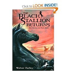 The Black Stallion Returns