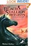 The Black Stallion Returns (Turtleback School & Library Binding Edition)