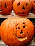 Jack O'Lantern Pumpkin - 50 Seeds - BONUS PACK!