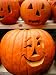 Jack O'Lantern Pumpkin 50 Seeds