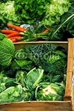 IMAGE OF Wallmonkeys Peel and Stick Wall Decals - Vegetables - 72