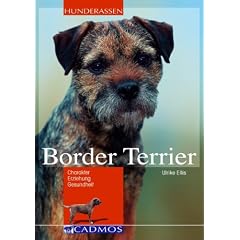 Border Terrier: Charakter, Erziehung, Gesundheit
