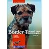 Border Terrier: Charakter, Erziehung, Gesundheit