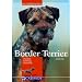 Border Terrier: Charakter, Erziehung, Gesundheit