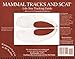 Mammal Tracks and Scat: Life-Size Tracking Guide