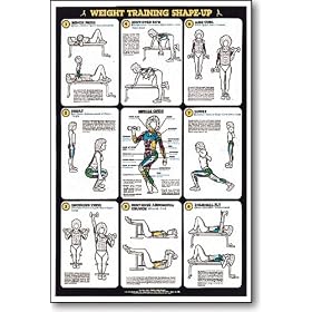 Click here to buy Weight Training Shape Up Fitness Chart.