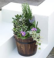 Large Outdoor Barrel