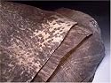 Djembe Drum African Goat skin djembe drum head, Hair-off from Mali
