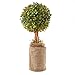 Factory Direct Craft Artificial Boxwood Topiary in Burlap Base for Indoor Home Decor