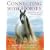Connecting with Horses: The Life Lessons We Can Learn from Horses