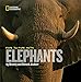 Face to Face With Elephants (Face to Face with Animals)