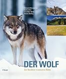 Der Wolf: Ein Raubtier in unserer N�he - Hansjakob Baumgartner