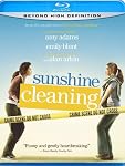 Cover Image for 'Sunshine Cleaning'