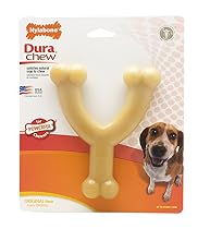 Nylabone Dura Chew Regular Original Flavored Wishbone Dog Chew Toy, Up to 35 LBS
