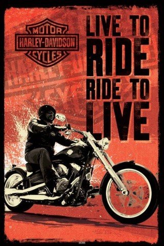 1art1 50029 Harley Davidson - Live To Ride Poster 91 x 61 cm