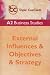A2 Business Studies: External Influences and Objectives and Strategy (Topic Cue Cards)