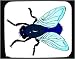 Mouse Pad with housefly, bug, buzzing, insect, fly