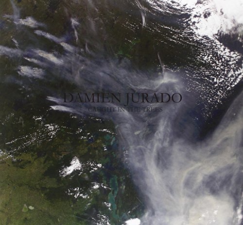 Damien Jurado - Caught In The Trees [vinyl] - Zortam Music