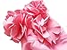 Chinaface Baby Girls Princess Flower Flounced One Piece Swimsuit w/Hat